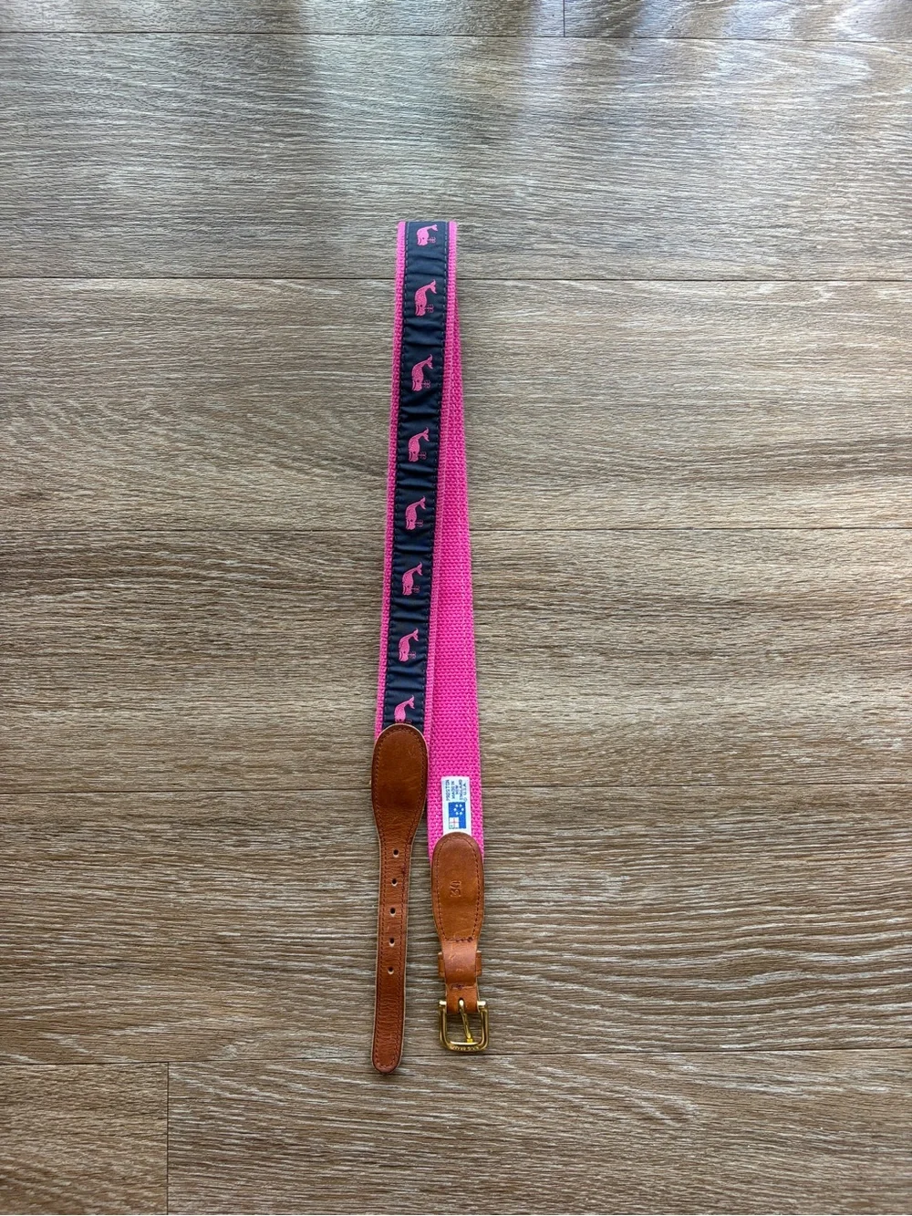 Pink Webbed Belt with Leather Trim and Seahorse Motif